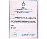 Plants: image 4 0f 4 thumb