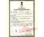 Plants: image 2 0f 4 thumb