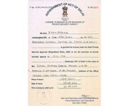 Plants: image 4 0f 4 thumb