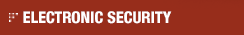 ELECTRONIC SECURITY